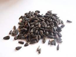 Black Oil Sunflower Seeds Boss Are A Popular Addition To The Horse S Diet They Are Highly Nutritious Of Black Oil Sunflower Seeds Black Oil Sunflower Seeds