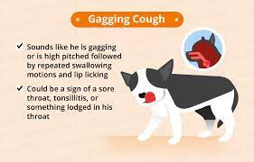 Dog Coughing Causes Natural Remedies Canna Pet