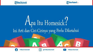 Homesick Adalah Apa Sering Dialami Perantau Saat Meninggalkan Keluarga Ini Arti Dan Ciri Cirinya Tribun Sumsel