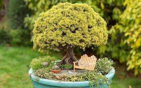 How Small Can You Grow Sierra Club