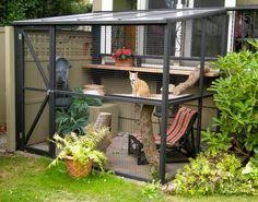 Immer Mehr Leute Sehen Den Vorteil Einer Unterkunft Fur Katzen Im Garten Wir Zeigen Dir Originelle Ideen Aussengehege Fur Katzen Outdoor Katzen Hauser Im Freien