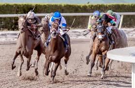 Ready to elevate your bets? Horak 4 Value Picks For Sunday S Gulfstream Park Races