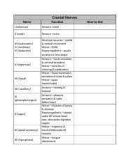 cranial nerve testing pdf 3 facing cranial nerve