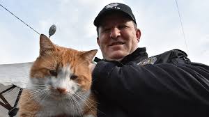 Polis Uygulama Noktasina Siginan Kedi Cemsit Ekiplerin Maskotu Oldu