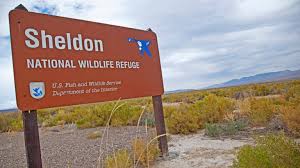 Image result for Little Catnip Spring - Sheldon Refuge Winnemucca NV