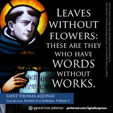 Sermon In A Sentence Vol 5 Thomas Aquinas Saint Quotes Catholic Thomas Aquinas Quotes Saint Thomas Aquinas