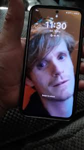 Found in lawn woods this morning Trying to trace the owner