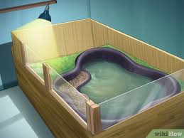Step by step guide for small turtle tank. How To Build An Indoor Aquatic Turtle Pond 13 Steps