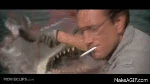 Check spelling or type a new query. You Re Gonna Need A Bigger Boat Jaws 4 10 Movie Clip 1975 Hd On Make A Gif