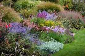 Beautiful Perennial Border At The Garden Of St Erth Photo By Claire Takacs Garden Pictures Perennial Border Fall Vegetables To Plant