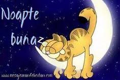 Nu pot sa ma culc linistita, mai am un singur lucru de facut: 47 Felicitari De Noapte Buna Ideas FelicitÄri Somn Citate Frumoase