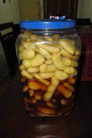 Bicara masalah budidaya pohon asam jawa, tentu akan terpikir di kepala kita cara memperbanyak pohon asam jawa ini. Facebook