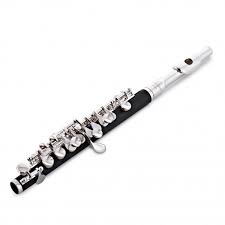 It works for orchestras, choirs, ensembles, academies, festivals, summer courses, music schools and universities around the world. Student Piccoloflote Von Gear4music Gear4music
