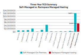 Comparing All The Costs Of Managed Hosting Vs In House Diy