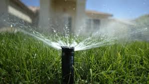 Sod lawns use less water than seed. Arizona Wastes Water Everywhere