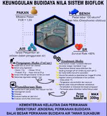 Gampangnya Budidaya Bioflok Ikan Nila Keuntungan Selangit