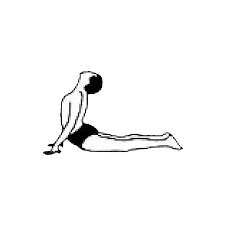 From calming your senses to increasing the flexibility of your spine, the child's pose is one of the best 12 basic yoga poses. 12 Basic Asanas Sivananda Ashram Yoga Ranch Yoga New York