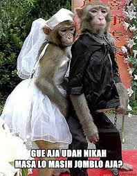 We did not find results for: 25 Meme Kelakuan Lucu Monyet Yang Bikin Ketawa Ngakak