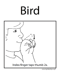 Bird In Sign Language How To Say Bird In Silence Get Http Aslteachingresources Com Asl Signlanguage Teacher Signs Sign Language American Sign Language