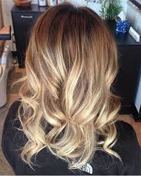Honey Blonde Hair Color Chart Google Search Dark Hair With Highlights Hair Styles Honey Blonde Hair
