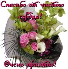 Картинки по запросу спасибо благодарю