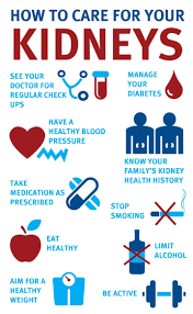 Pin On Kidney Care Tips