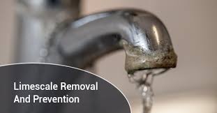 If you live in an area with hard water, limescale can form both in the tank and also in the steam vents, preventing your iron from working as efficiently. How To Remove Limescale And Prevent It From Coming Back Brothers Plumbing