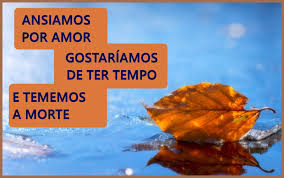 Como entendemos a morte, o tempo e o amor? Beleza Oculta Filme Frases De Filmes Imagens Frases Citacoes De Filmes