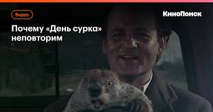День сурка дисконт в тц экстрим. Qin12oomc Ymim