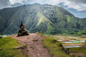 Hanya dengan sarapan nasi ayam sayur. Desa Sembalun Di Lombok Punya Aktivitas Wisata Paralayang Halaman All Kompas Com