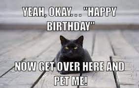 100 Best Happy Birthday Cat Memes Images Happy Birthday Cat Cat Birthday Memes Cat Birthday Funny
