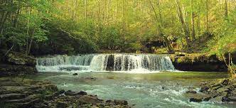 Camp creek state park, located in the southern reaches of the state, has a number of trails open to mountain bikes. Camp Creek Gateway To West Virginia Wonders Appalachian Voices