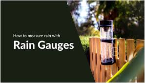 Follow along with meteorologist kristina pydynow. 6 Ways To Measure Rain With Rain Gauges Nb