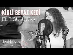 Kirli Beyaz Kedi 3gp Mp4 Mp3 Flv Indir