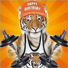 6 witzige bilder für frauen als geburtstagsgrüße. Geburtstagskarte Happy Geburtstag Lustig Tiere Fitness Tiger 3d Bewegliche Eur 12 06 Picclick De
