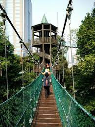 Kuala lumpur is the only city in the world that has a natural rainforest situated right at its centre. Canopy Walk At Kl Forest Eco Park Bukit Nanas Forest Reserve Kyension Com