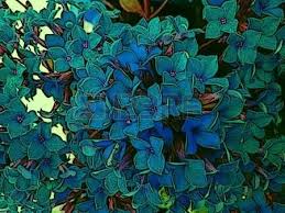 Kalanchoe Flower Blue A Tropical Succulent Plant With Clusters Of Tubular Flowers Sometimes Producing Miniature Plants Along The Edges Of The Leaves And Gr Arranjos De Flores Simples Flor