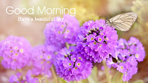 Check spelling or type a new query. Good Morning Card For Sister The Best Greeting Card For You