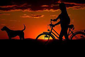 Maybe you would like to learn more about one of these? Good Evening In French Lingopolo