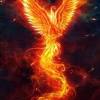 Phoenix the ancient greek historian herodotus gave the fol… Https Encrypted Tbn0 Gstatic Com Images Q Tbn And9gcrcgdt4zca5zpfwwzym8asbzqspwbcinrwckz1yyufvyebmradd Usqp Cau