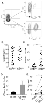 Ccr7, also known as cd197, is a chemokine receptor that binds ccl19 and ccl21. A Representative Stain Of Ccr7 And Cd45ra Expression On Memory Cd4 T Download Scientific Diagram