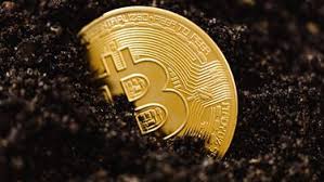 Find the latest cryptocurrency news, updates, values, price predictions,. Want Bitcoin Lunch Prijs Bitcoin Crypto Groen Goed Btc Nieuws Maar