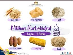 4 resepi bubur bayi 6 bulan yang anda boleh cuba, si manja pasti suka! Makanan Pilihan Bagi Bayi 6 8 Bulan
