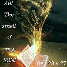 We Ought To Carry The Aroma Of Christ Fantasy Books Imagine
