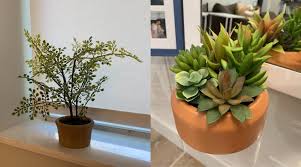 Hello everyone, in this video we compare real plants verses fake plants. Indoor Fake Plants Are Better Than Real Plants Here S Why Reviewed Home Garden