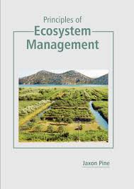 States Academic Press