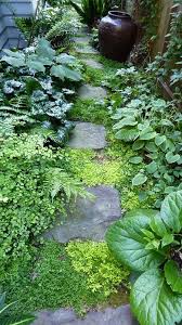 Portland Oregon Garden Tour Shade Garden Beautiful Gardens Oregon Garden