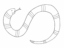 You get a printable pdf download with 5 challenging pictures of big snakes to color. Coloring Picture Of A Snake Coloring Home