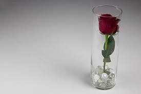 We did not find results for: Submerged Flowers Centerpiece Diy Tutorial