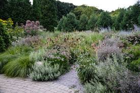 Olbrich Botanical Gardens Gravel Garden Madison Wisconsin Thinking Outside The Boxwood Prairie Garden Michigan Gardening Gravel Garden